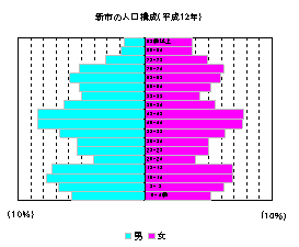 新市の人口構成グラフ