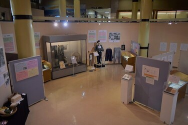 展示の様子